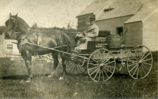 Delivery carriage drawn by Bell, a beautiful horse that was 5 years old and weighed 1410 lbs. without a saddle.