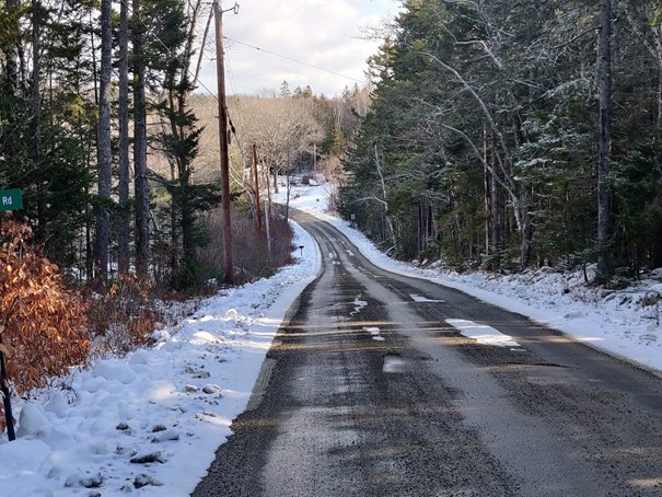 This is a January 2021 photo of the same section of the Herrick Road as is seen in the postcard photo.