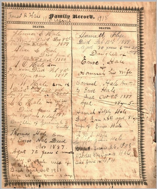 Hale Family Bible Genealogy Original