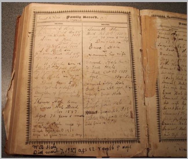 Hale Family Bible Genealogy Original