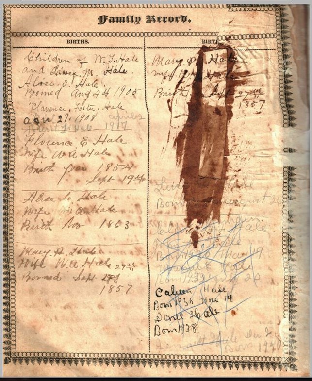 Hale Family Bible Genealogy Original