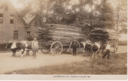 Note on back of this photo-“Horace Eaton, Rufus Hinkley, Dr. France  August, 1910”. Lumber was cut at local saw mills and used on Sedgwick homes or buildings or shipped via schooners to other towns and countries. Oxen pulled the heavy loads. The France house in the background was built circa 1814.
