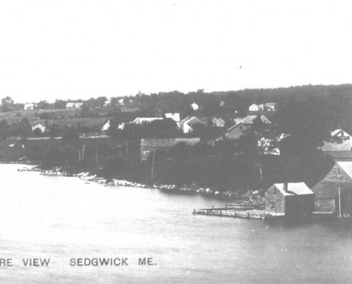 An old view of Sedgwick village showing the wharves behind the store.