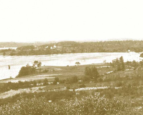 This photo is looking across to Byard’s Point from the main road in Sargentville, Hiram Harding’s house white in the distance and Settler’s Rest clearly visible on the left.