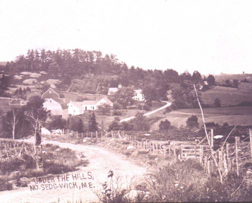 Allen’s hills in North Sedgwick, now blueberry land