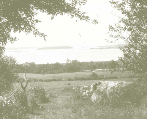 Looking down into Parker Billing’s pasture toward the Reach. Settler’s Rest is to the right. Parker Billings home, which burned, was across the road from Rock Hill, now the home of Robert and Rada Starkey.