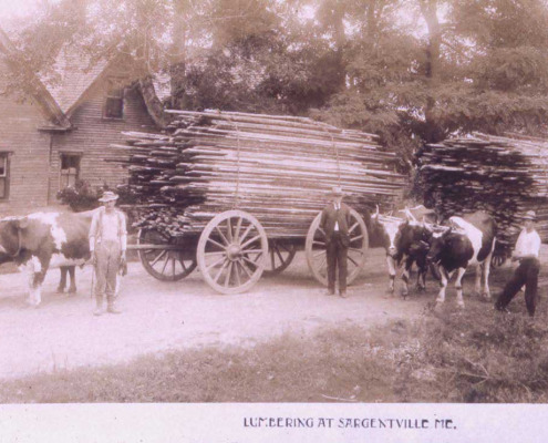 Hauling lumber past Francis Billings’ house, now Ann Hoagland’s home. Rufus Hinkley, Dr. France and Horace Eaton are in the picture.