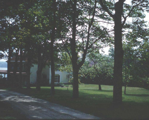 A 1960s view of Maple Drive