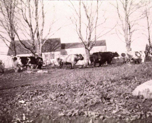 This is an older view of the Thomas Cole house but the roof line looks about the same. Note the oxen pulling a road grader on “the highway.”