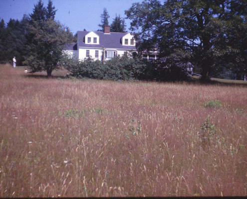 Byard Homestead in the 1960s. This house is on your right as you cross the bridge to Little Deer Isle. The bridge repairs of 2010-2012 involved extensive use of this property.