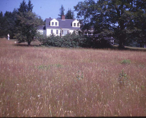 Byard Homestead in the 1960s. This house is on your right as you cross the bridge to Little Deer Isle. The bridge repairs of 2010-2012 involved extensive use of this property.
