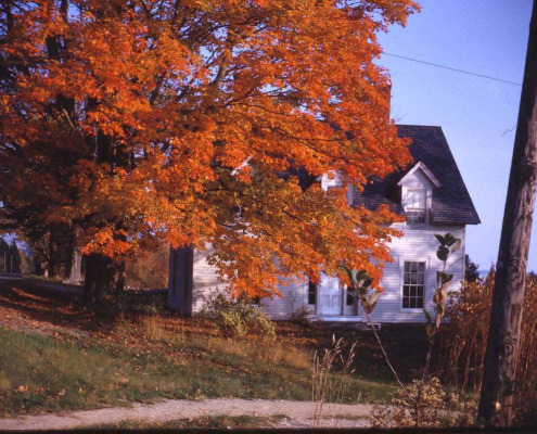 The Groves Eaton house in 1963. Across the street is a Gower home now belonging to Bob and Nancy Hitchcock.