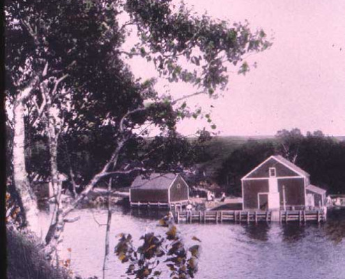 Clam and fish wharfs. Remains of the foundations can still be seen at Pleasant Cove along the Shore Road.