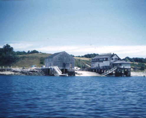 By 1960 only two buildings were left. The steamboat wharf building had been moved vertical to the shore and had become a crabmeat and lobster company. On the left in this photo from the 1950s, is the one remaining canning factory.