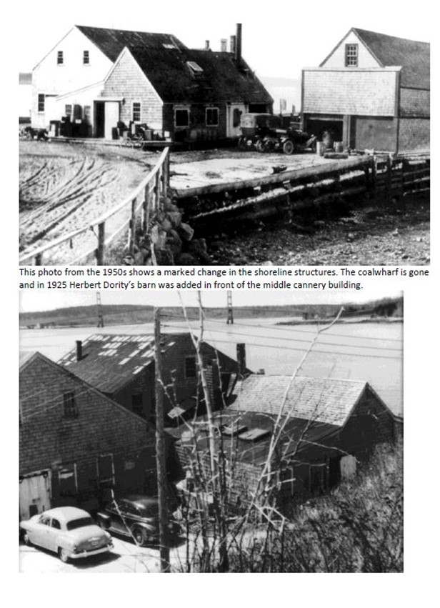 This photo from the 1950s shows a marked change in the shoreline structures. The coaswarf is gone and in 1925 Herbert Dority's barn was added in front of the middle cannery building.