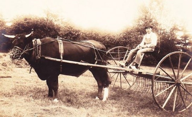 John R. Cooper (1901-1947). This photo is dated 1916.