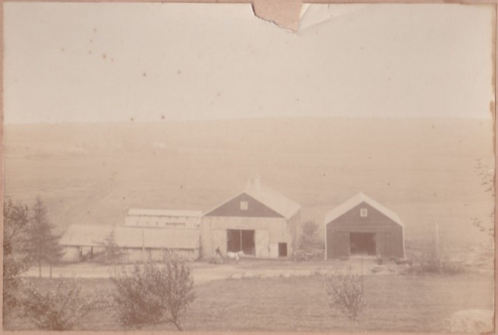 Some of the many barns on the Thurston farm.