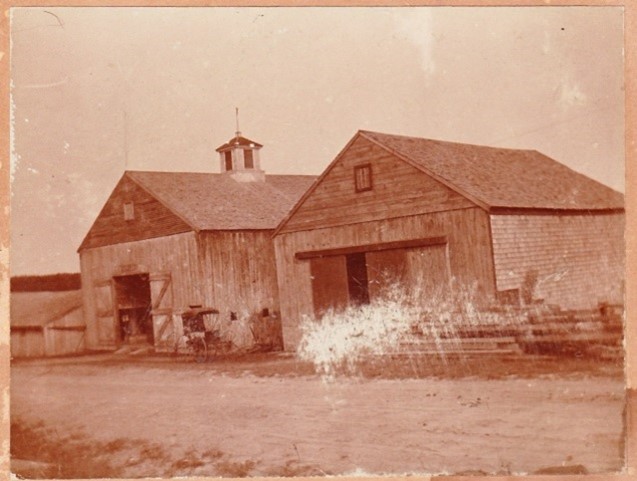 Some of the many barns on the Thurston farm.