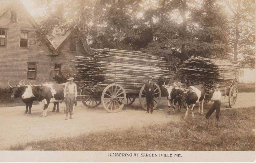 Note on back-“Horace Eaton, Rufus Hinkley, Dr. France August, 1910”. Lumber was cut at local saw mills and used on Sedgwick homes or buildings or shipped via schooners to other towns or countries. Oxen pulled the heavy loads.  The old France house in the background was built around 1814.