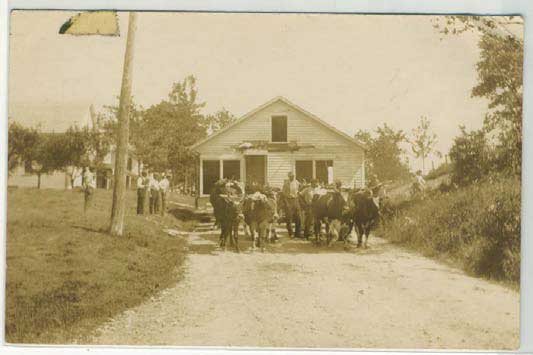 Oxen were used to haul buildings