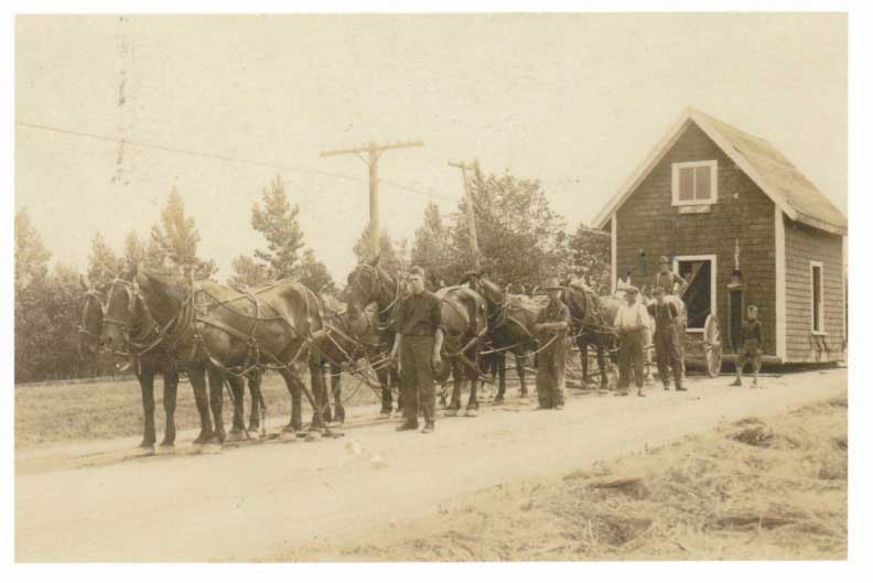 Horses were also used for heavy jobs.