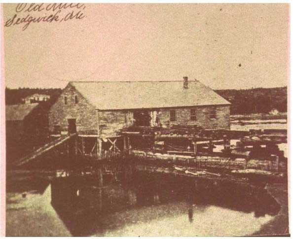 The Eaton mill on the Benjamin River at Sedgwick Village was powered by the changing tides. Today, at low tide, one can see a few of the foundation stones to the right of the bridge going toward Brooklin. The house on the left in the photo background is the David Carleton home, now the home of Jennifer and John Ellsworth. 