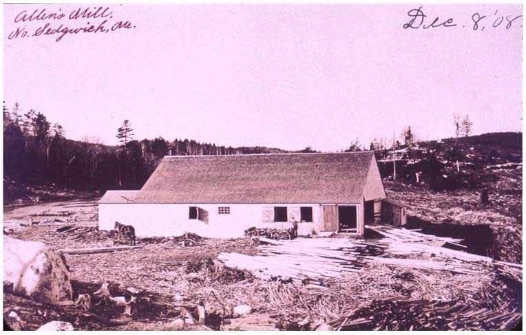 Allen’s lumber mill in North Sedgwick-1908.  Originally it may have been John Thurston’s mill. In 2015 Bruce Grindal told Susan Webb that the mill was on Billings Pond, on Carleton Stream. The mill had a drop down saw that cut the lumber to specific lengths and a large stationary circular saw that cut the logs into the correct dimensions.  The logs were pulled from the pond, loaded and dogged down to a carriage which carried them back and forth by the saw as it cut them to the desired size. The mill was originally driven by a water wheel but in Bruce’s time it had a diesel engine. Bruce remembers jumping on, and sometimes missing, the logs that were in the pond in front of the mill.